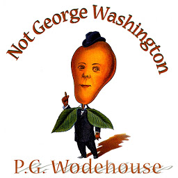Icon image Not George Washington: An Autobiographical Novel