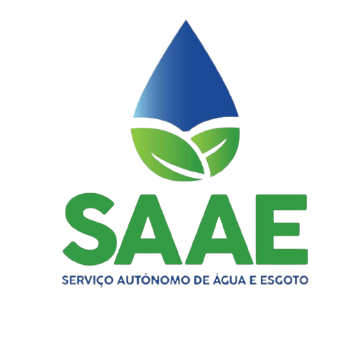 SAAE Palmares - PE logo