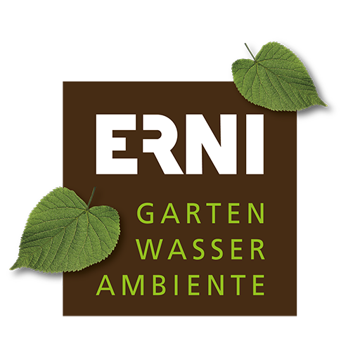 Ernigram logo