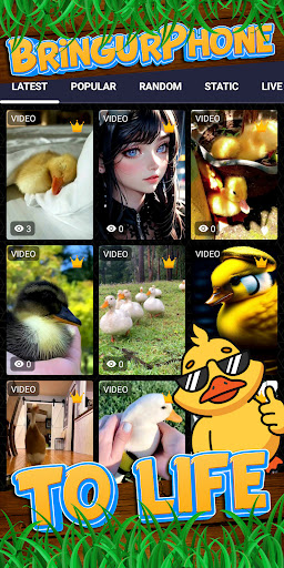 duck wallpaper Screen 2