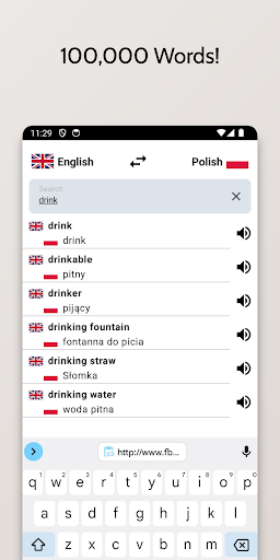 Polish-English Dictionary Screen 2