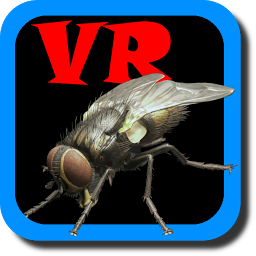 Ikonbild för VR Fly