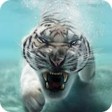 Tiger Live Wallpaper Free(PRO) icon