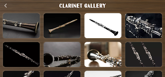 Clarinet Instrument