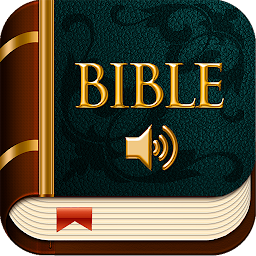 Icon image KJV Audio Bible offline