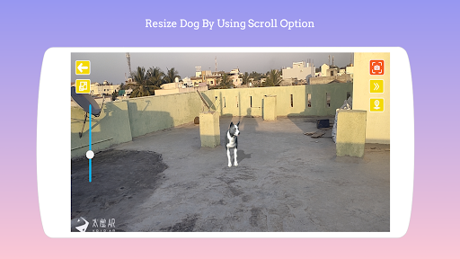 Dog play Ar Screen 3