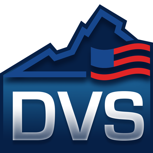 DVS Virginia (2.0) logo