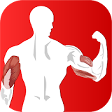 Perfect Arm workout challenge icon
