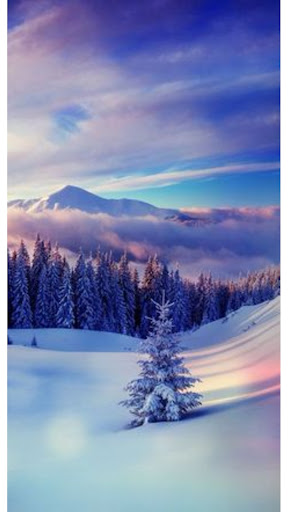 Snow Wallpaper 2023 4K