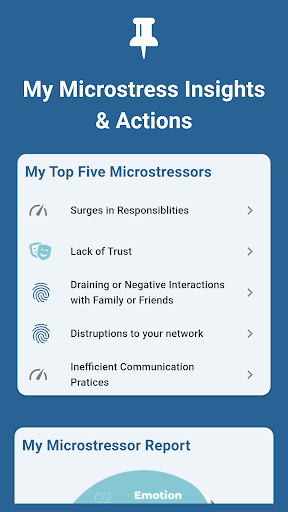 The Microstress Effect Screen 2