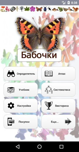 Aperçu de l'application