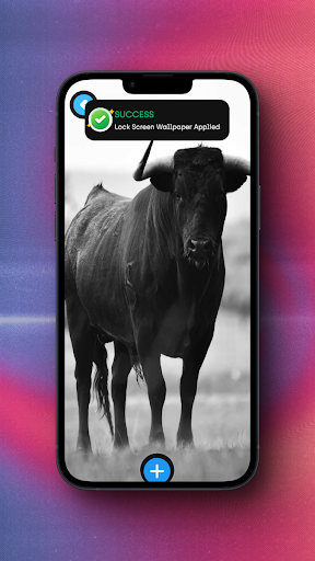 Bull Wallpaper Screenshot 4 - AppWisp.com
