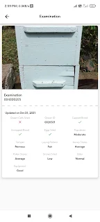 Hive Keep in Caribbean