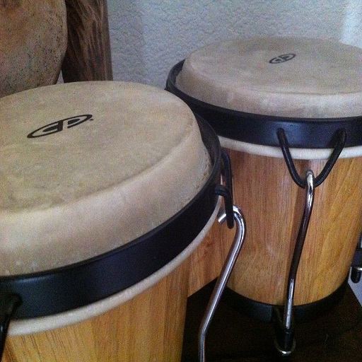 Bongo Drum Sound logo
