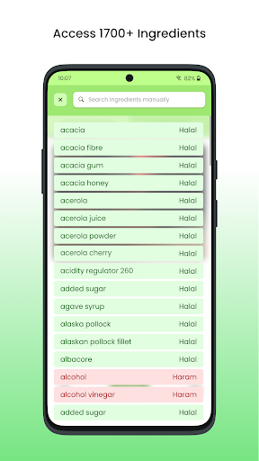 Taste Halal - Scan Ingredients Screen 3