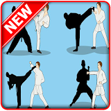 Martial Arts Techniques icon