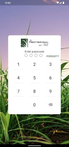 Android application Your FNB Jeanerette screenshort