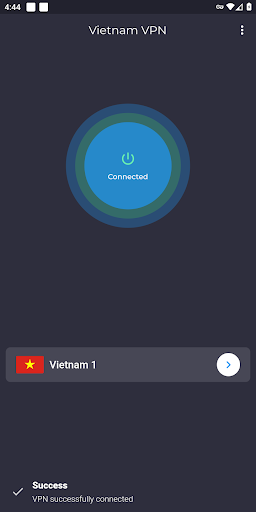 Vietnam VPN: Get Vietnamese IP Screen 2