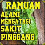 Cover Image of Download Ramuan Alami Mengatasi Sakit P  APK