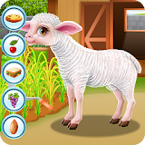 Baby Sheep Care icon