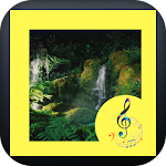 Cover Image of डाउनलोड Rainforest Sounds 2 APK