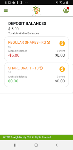 RCFCU Mobile Banking Screen 2