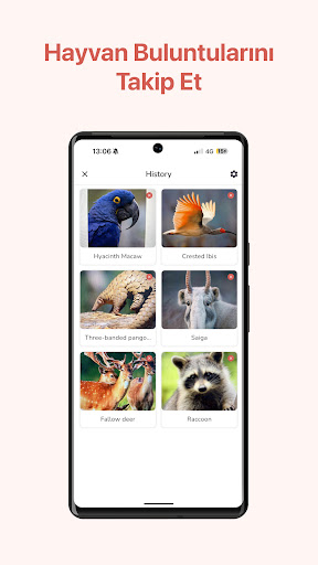 Hayvan Tanıma: AI Tarayıcı ekran görüntüsü