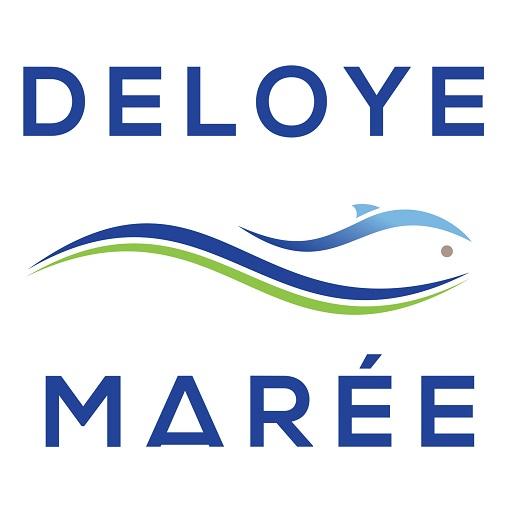 Deloye marée 23.0 Icon