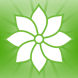 Mindfulness: 2012 icon