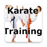 Karate Training Videos : Free Application icon
