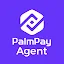 PalmPay Agent