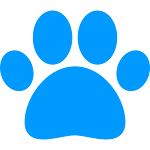 Cover Image of Download Animal Wiki  APK