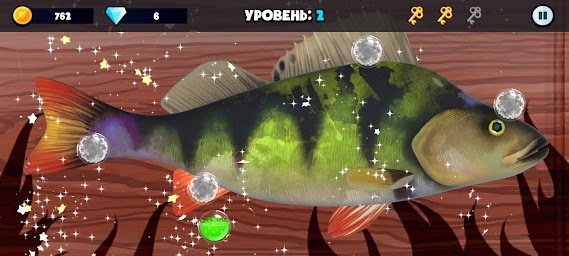 Clean a Fish: 3D game