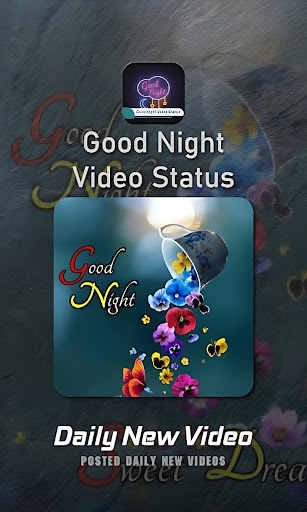 Good Night Video Status Screen 2