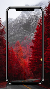 Tree Wallpapers HD 4K