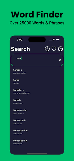 Malay Dictionary English Screen 3