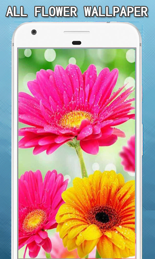 Android application ALL Flowers Wallpapers Hd screenshort