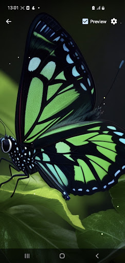 Android application Butterflies Wallpapers screenshort
