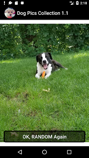 Android application Dog Pics Collection screenshort