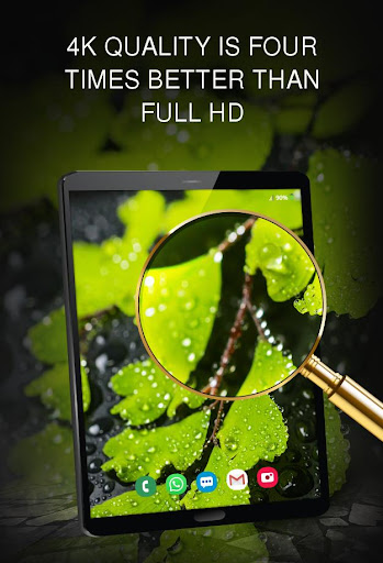 Wallpapers with Leaves