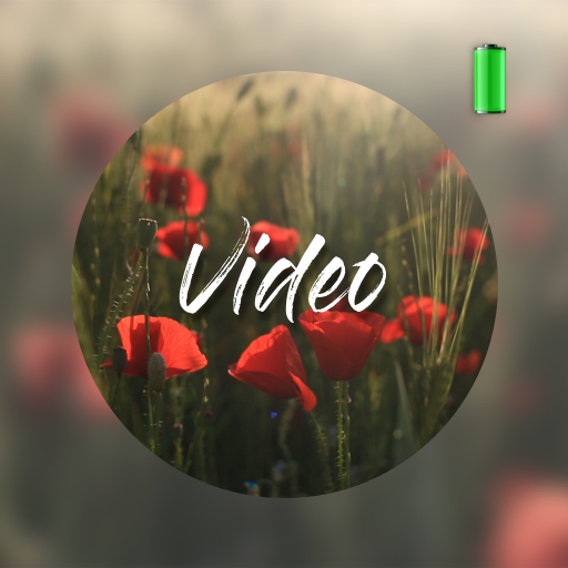 Flower Video Wallpapers