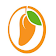 mangoplus vpn icon