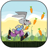 Rabbit Running Adventure icon