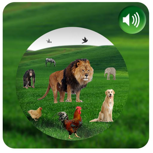 Animals Names Laai af op Windows