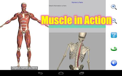 Captura 17 Visual Anatomy Lite android