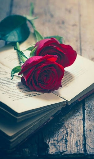Red Rose Wallpapers Screen 2