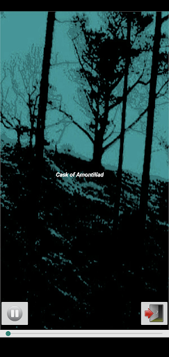 Audiobook - Edgar Allen Poe Screen 3