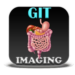 GIT Imaging icon