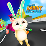 Cover Image of डाउनलोड Rabbit Subway Escaper  APK