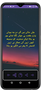 Urdu Funny Shayari